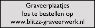 5x Graveerplaatje rechthoek zilver